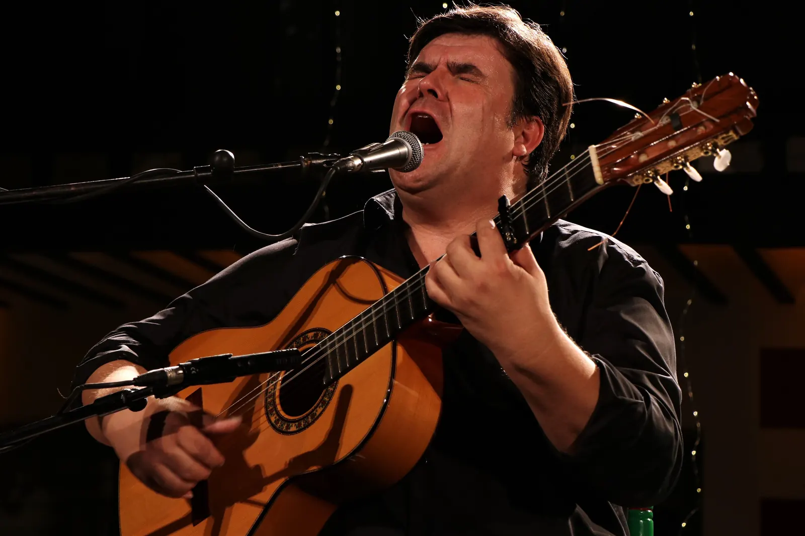 Un cantante e un chitarrista flamenco nel pieno dell'esibizione davanti al microfono, con la testa reclinata all'indietro; una fotografia generale di un artista flamenco, non di un artista del Palazzo Marbeuf