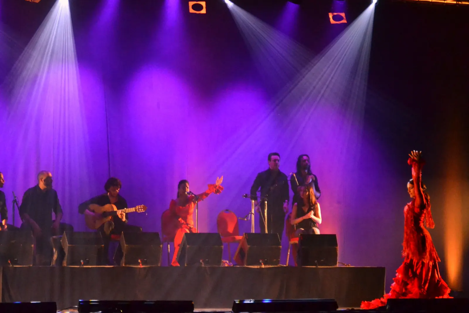 Una ballerina in un abito flamenco rosso a balze, un braccio sollevato, ai margini di un palco illuminato di viola; una fotografia generale di uno spettacolo di flamenco, non dello spettacolo del Palazzo Marbeuf